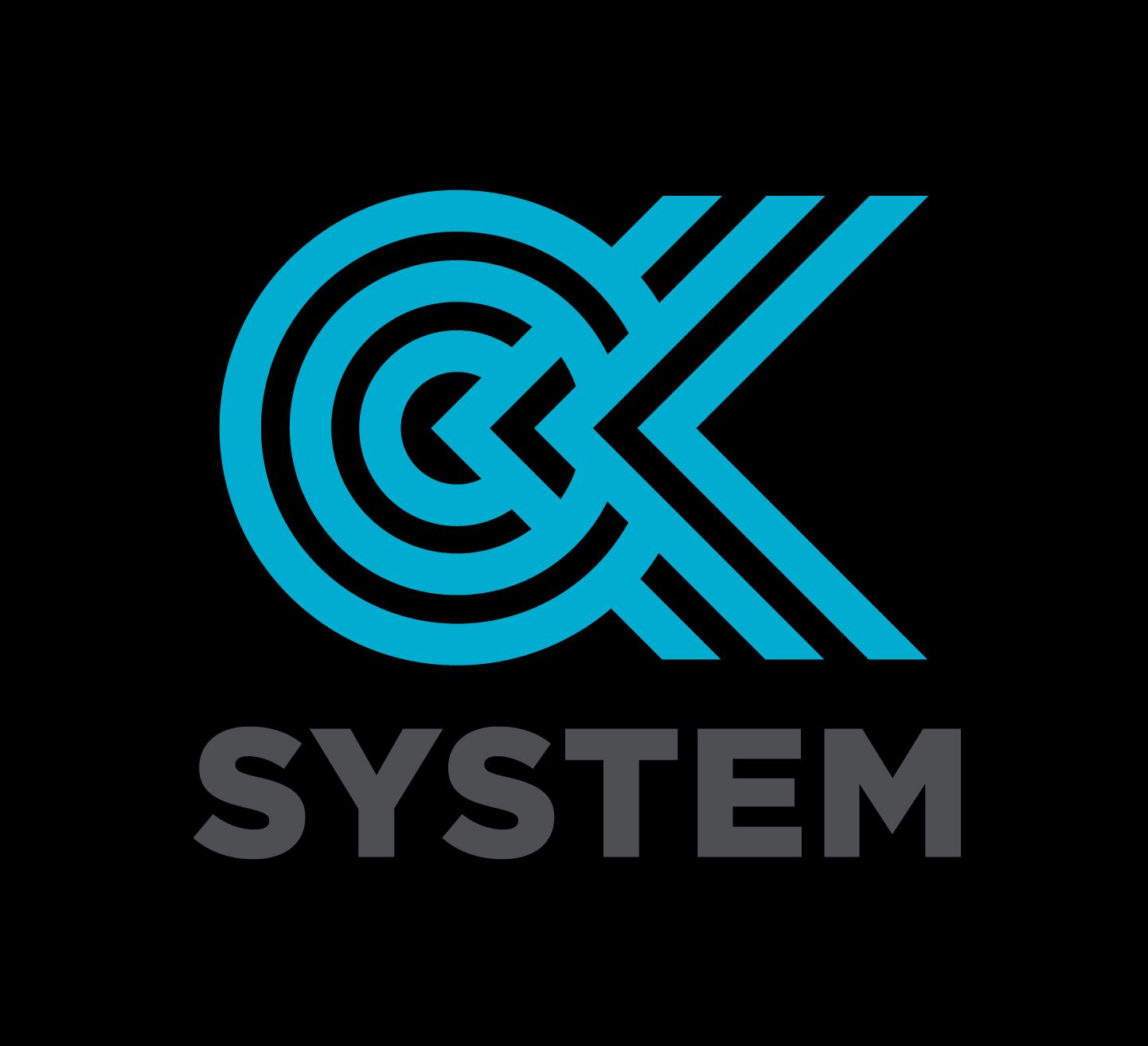 logo OK system